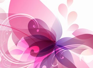 Magenta wallpaper photo Feminine.