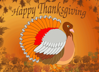 Pictture of Cute Thanksgiving Wallpaper.