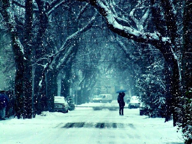 Winter Love Wallpaper HD.