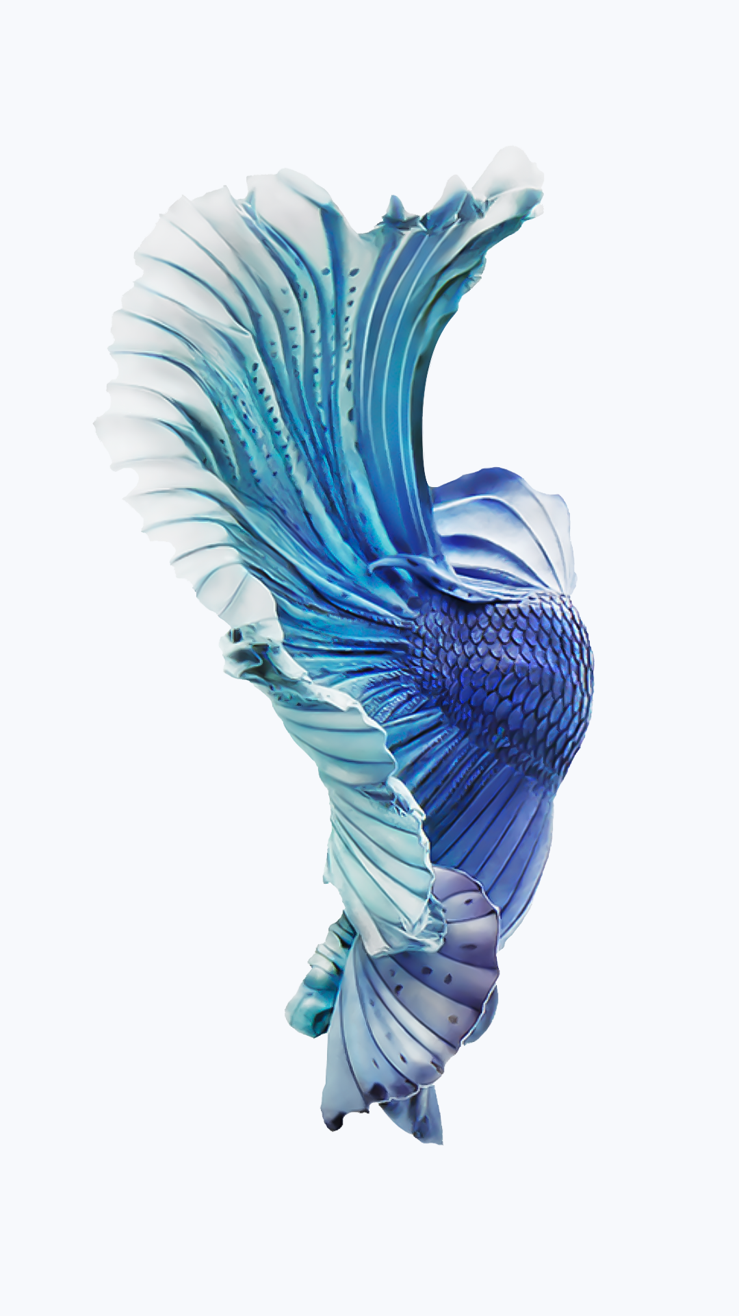 Iphone Fish Wallpapers Free Download Pixelstalk Net