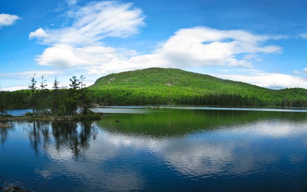 Adirondack Background.