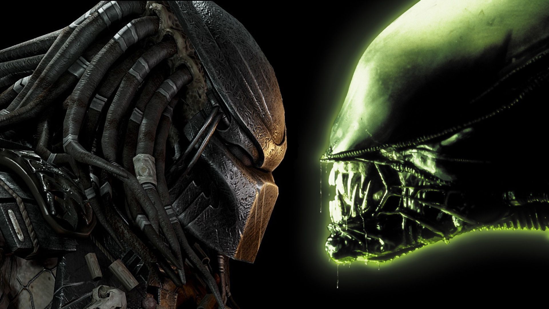 Free Download Alien Vs Predator Wallpaper Pixelstalk Net