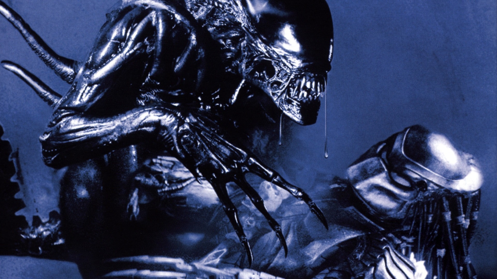 Download Aliens Vs Predator 1 Wallpaper by Tomgrzeg91 - 15 - Free