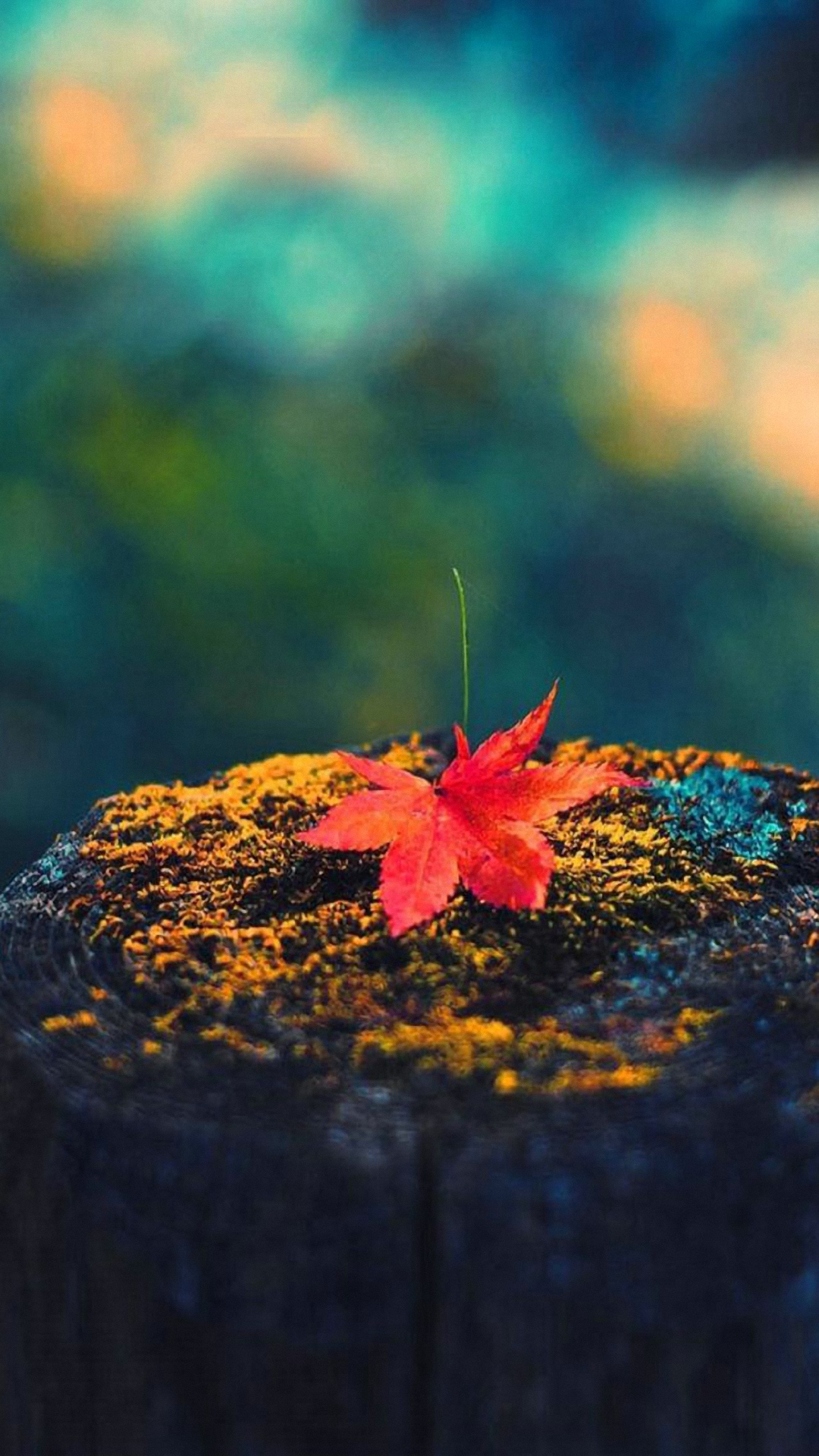 Download 530+ Background Hd Mobile Wallpaper Gratis Terbaru
