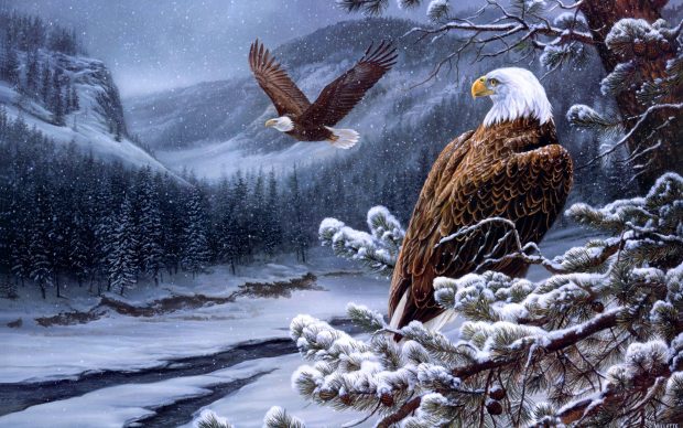 American Eagle Background HD.