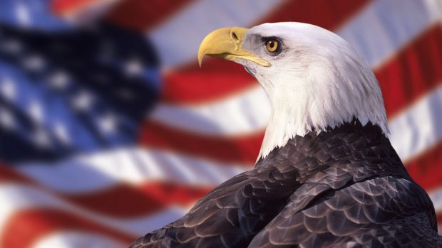 American Eagle Wallpaper Full HD.