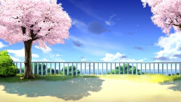 Anime Cherry Blossom Background Full HD.