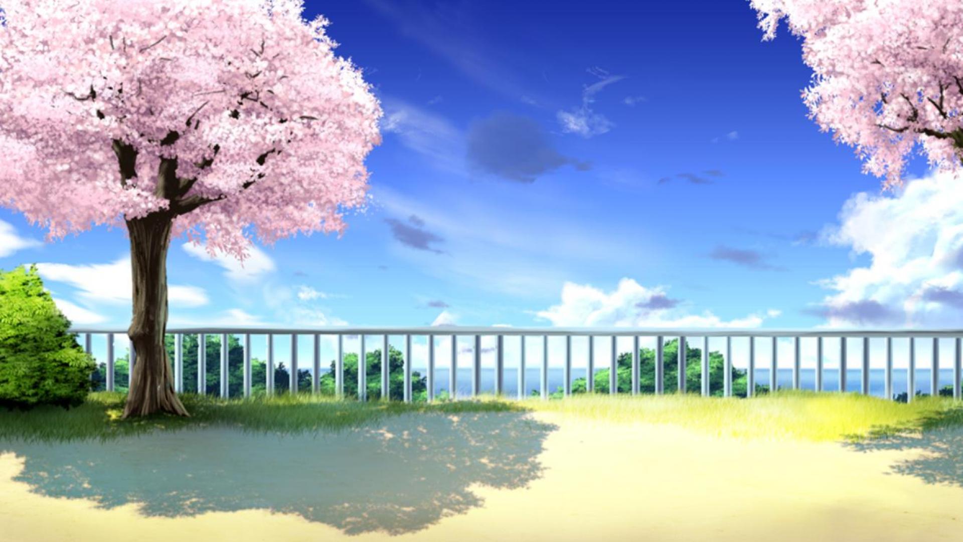 Download Free Anime Cherry Blossom Background 