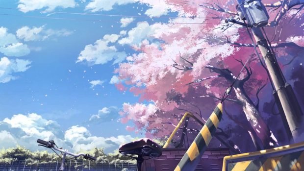 Anime Cherry Blossom Background HD.