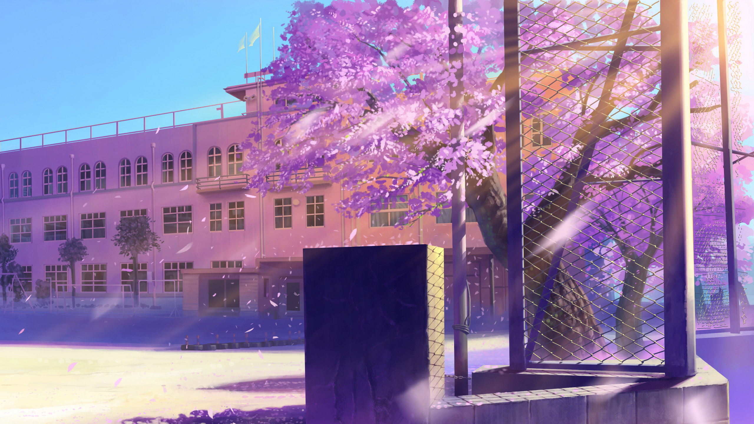 Download Free Anime Cherry Blossom Background  PixelsTalkNet