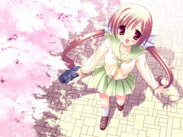 Anime Cherry Blossom Desktop Background.