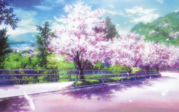 Anime Cherry Blossom Desktop Wallpaper.