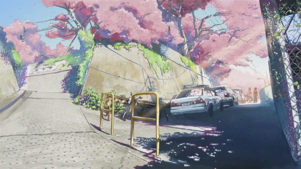 Anime Cherry Blossom Full HD Background.