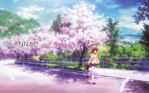 Anime Cherry Blossom HD Wallpaper.