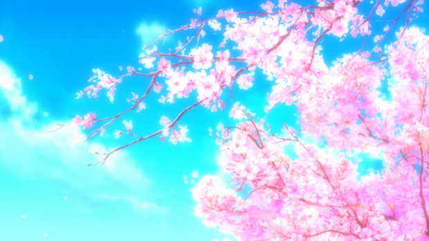 Anime Cherry Blossom Wallpaper Full HD.