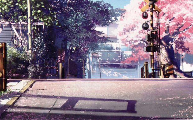 Anime Cherry Blossom Wallpaper Widescreen.
