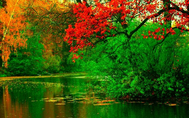 Autumn River Background.