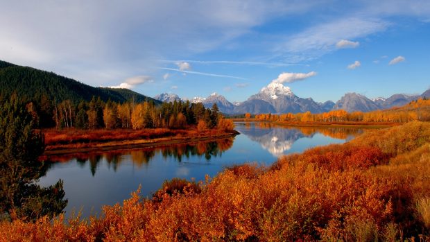 Autumn River Background Full HD.