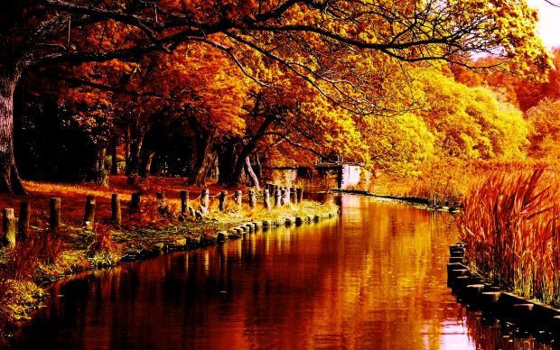 Autumn River Desktop Background.