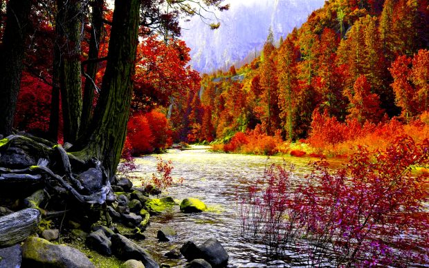 Autumn River Wallpaper Free Download.