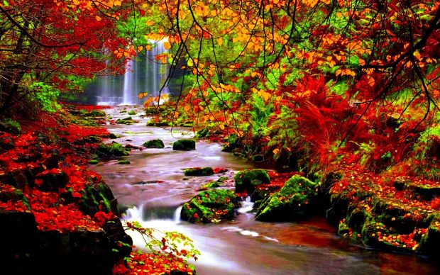 Autumn River Wallpaper HD.