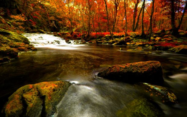 Autumn River Wallpaper Widescreen.