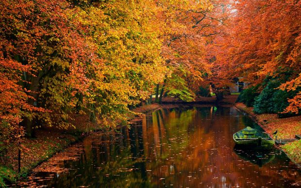 Autumn River Wallpaper for PC.