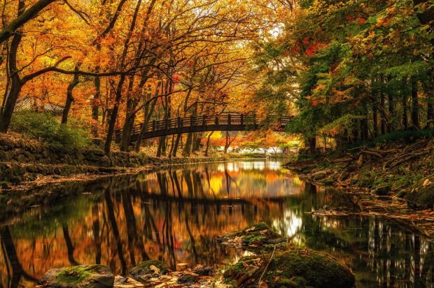 Autumn River Widescreen Background.