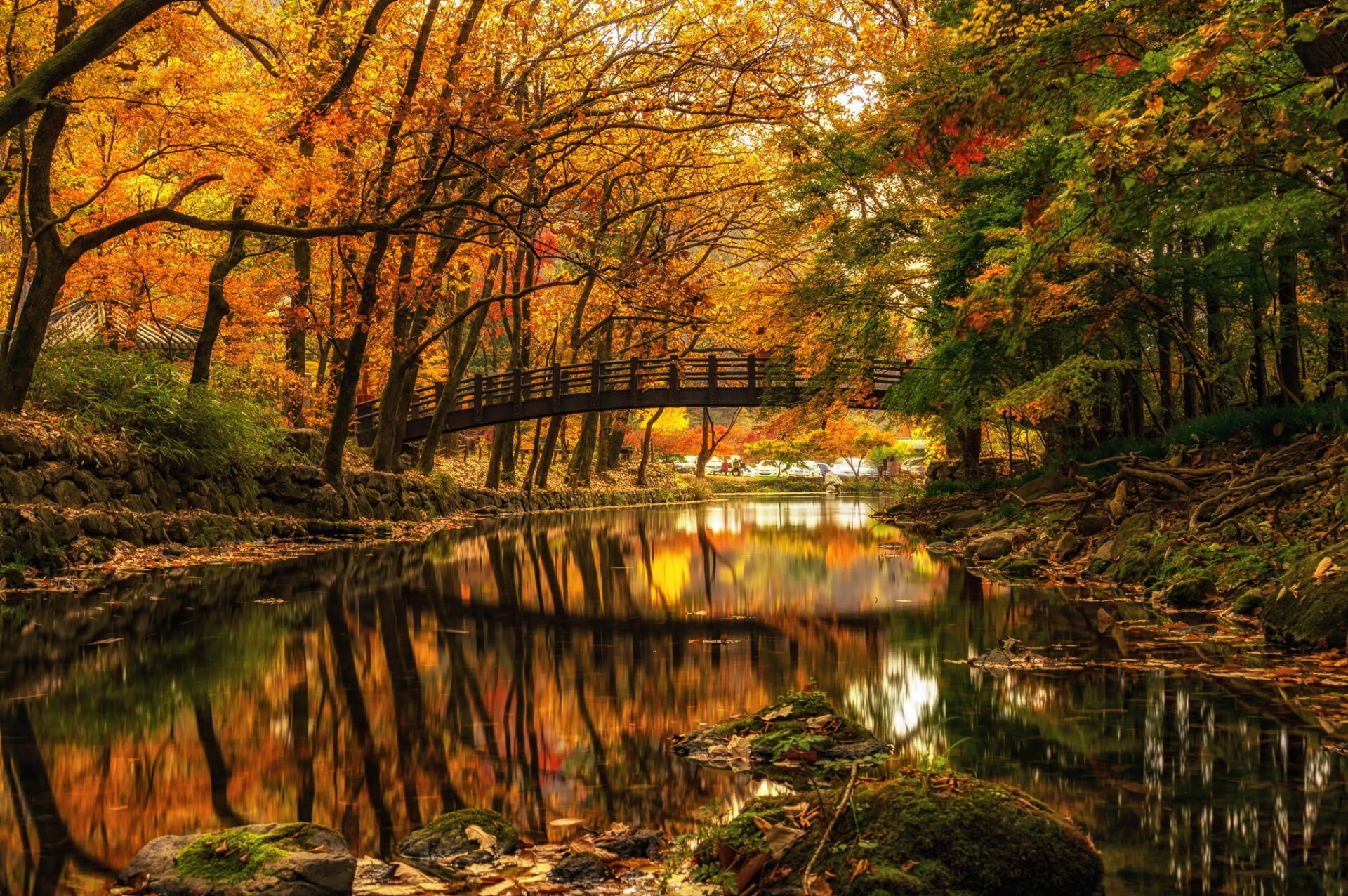 Autumn River Hd Wallpaper Pixelstalknet