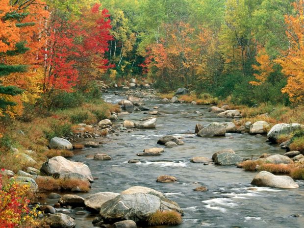 Autumn River Widescreen Wallpaper.