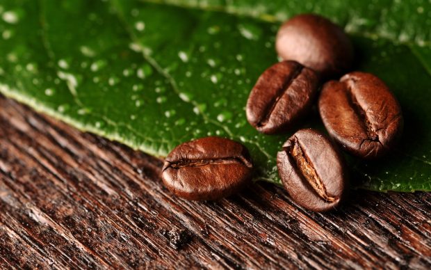 Awesome Coffee Bean Background.