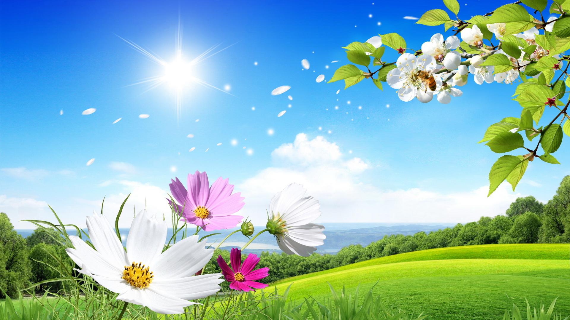 Background Flowers Desktop Wallpaper 