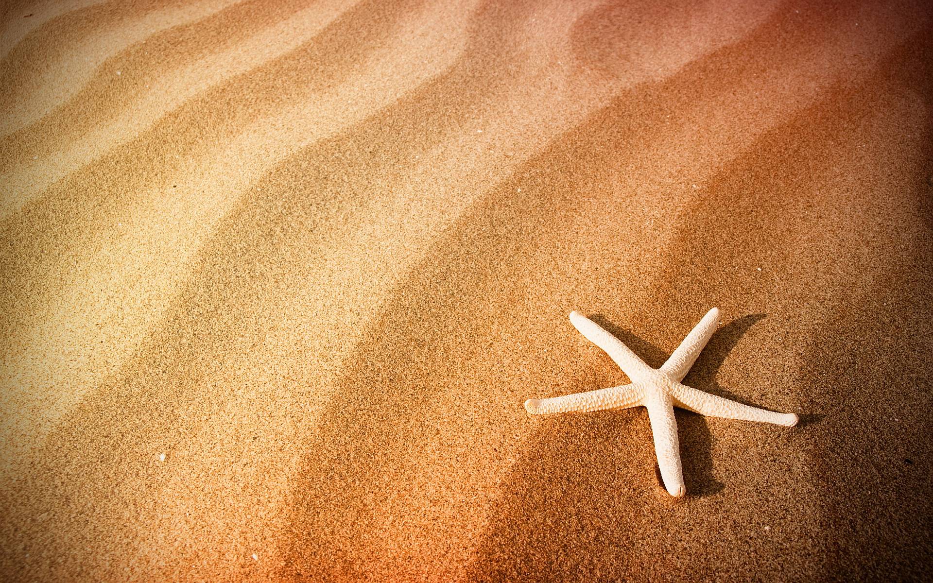 Free Download Beach Sand Wallpaper