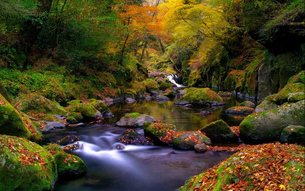 Beautiful Autumn River Hi Res.