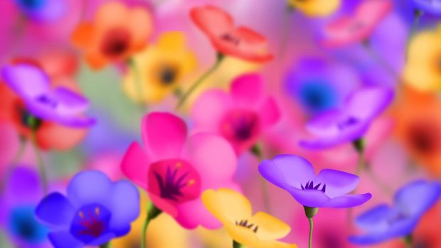 Beautiful Colorful Flower Wallpaper.
