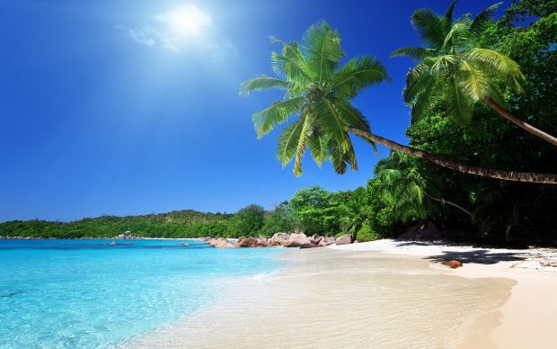 Caribbean Wallpaper HD.