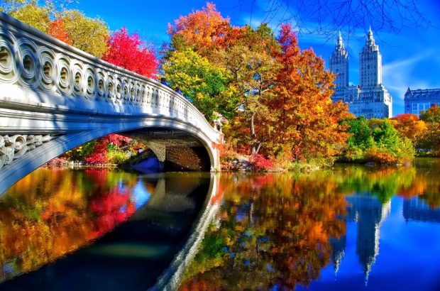 Central Park Background HD.