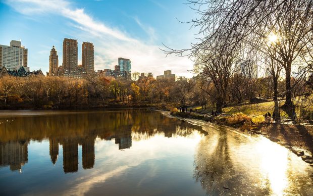 Central Park Background Widescreen.