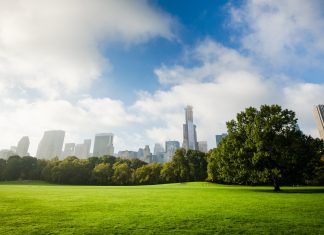 Central Park Background for PC.