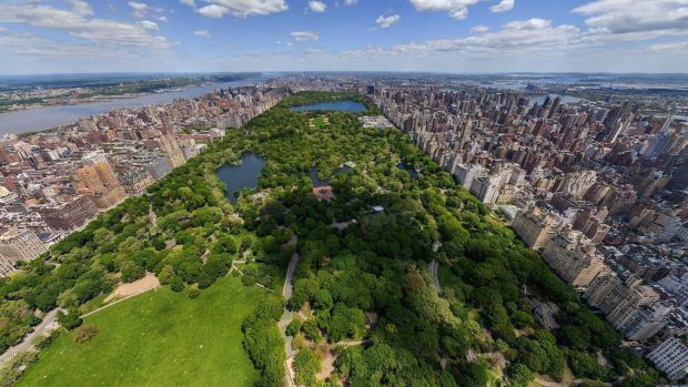 Central Park Full HD Wallpaper.