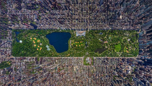 Central Park HD Wallpaper.