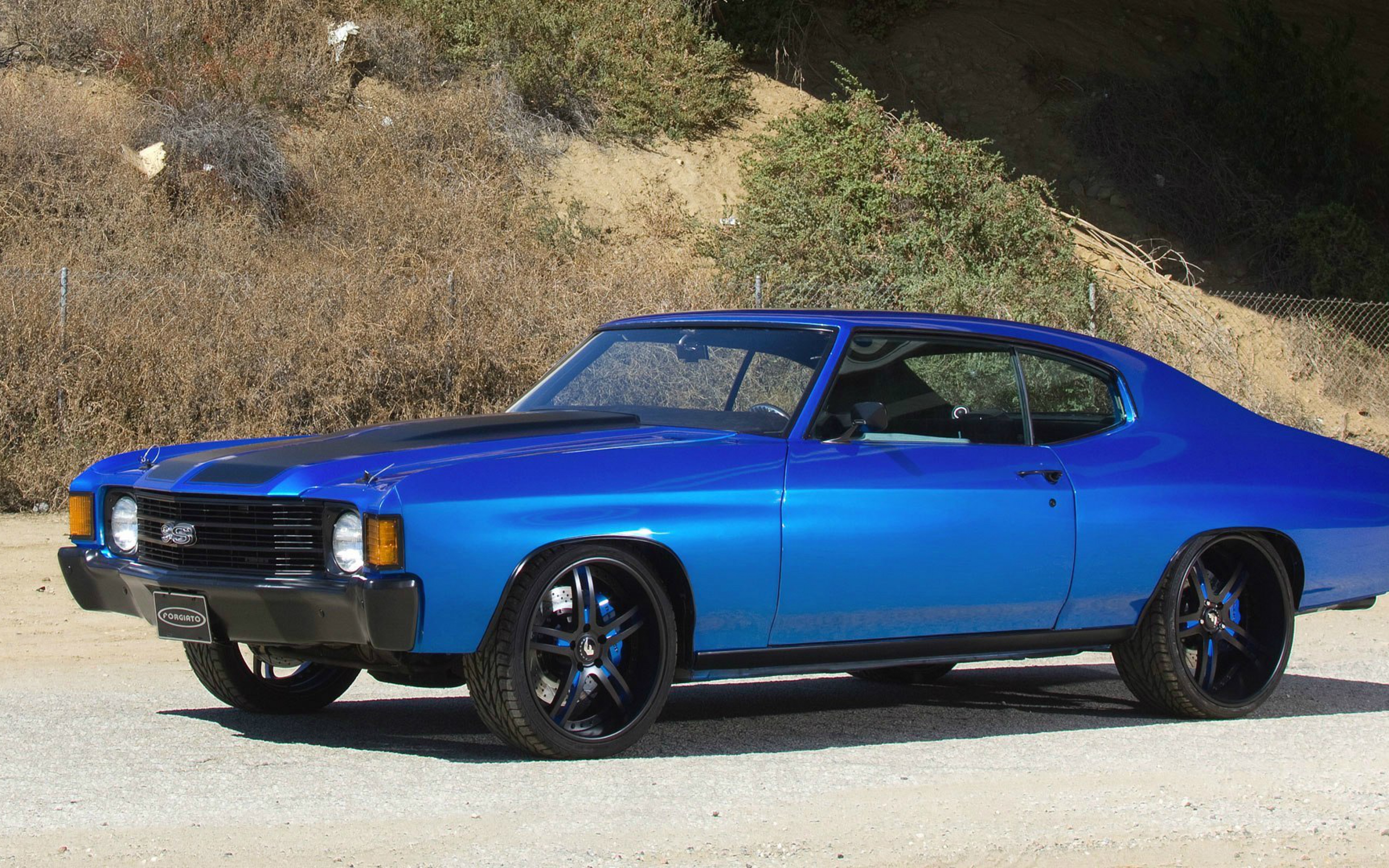 Chevrolet Chevelle Ss HD Wide Wallpaper for Widescreen (78 ...