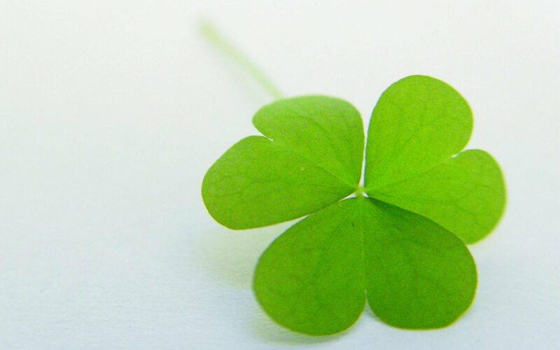 Clover Desktop Background - PixelsTalk