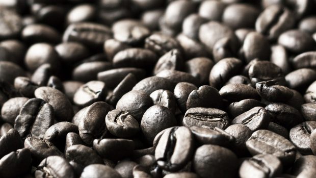 Coffee Bean Wallpaper Full HD.