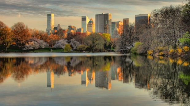 Cool Central Park HQ.