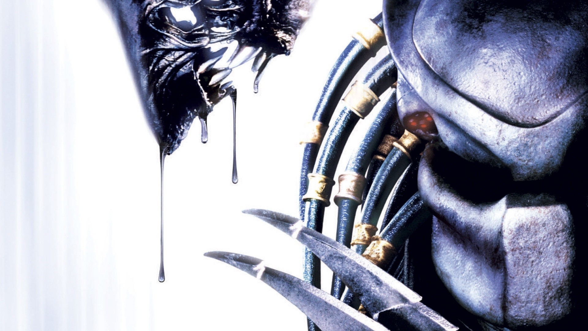 Льющий слезы хищник. Чужой против хищника 2004. AVP: Alien vs. Predator 2004 постеры. Чужой против хищника 2011.