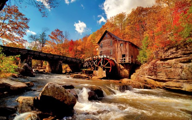 Download Autumn River Photo.