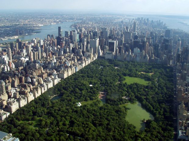 Download Central Park Wallpaper for your friend