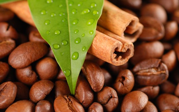 Download Free Coffee Bean Background.