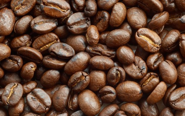 Download Free Coffee Bean Wallpaper.